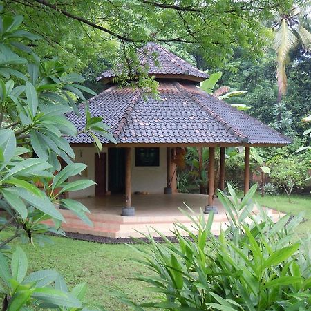 Sananda Bungalow Lovina Zewnętrze zdjęcie