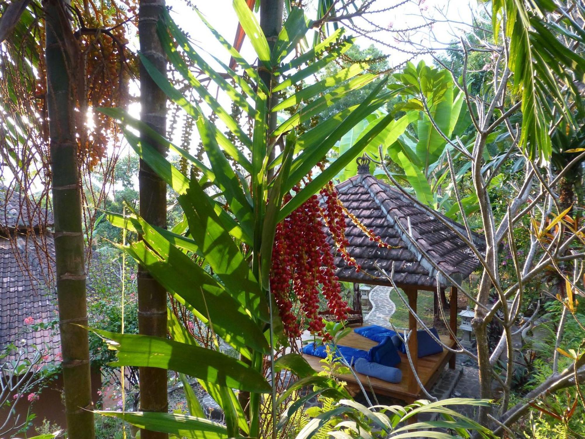 Sananda Bungalow Lovina Zewnętrze zdjęcie