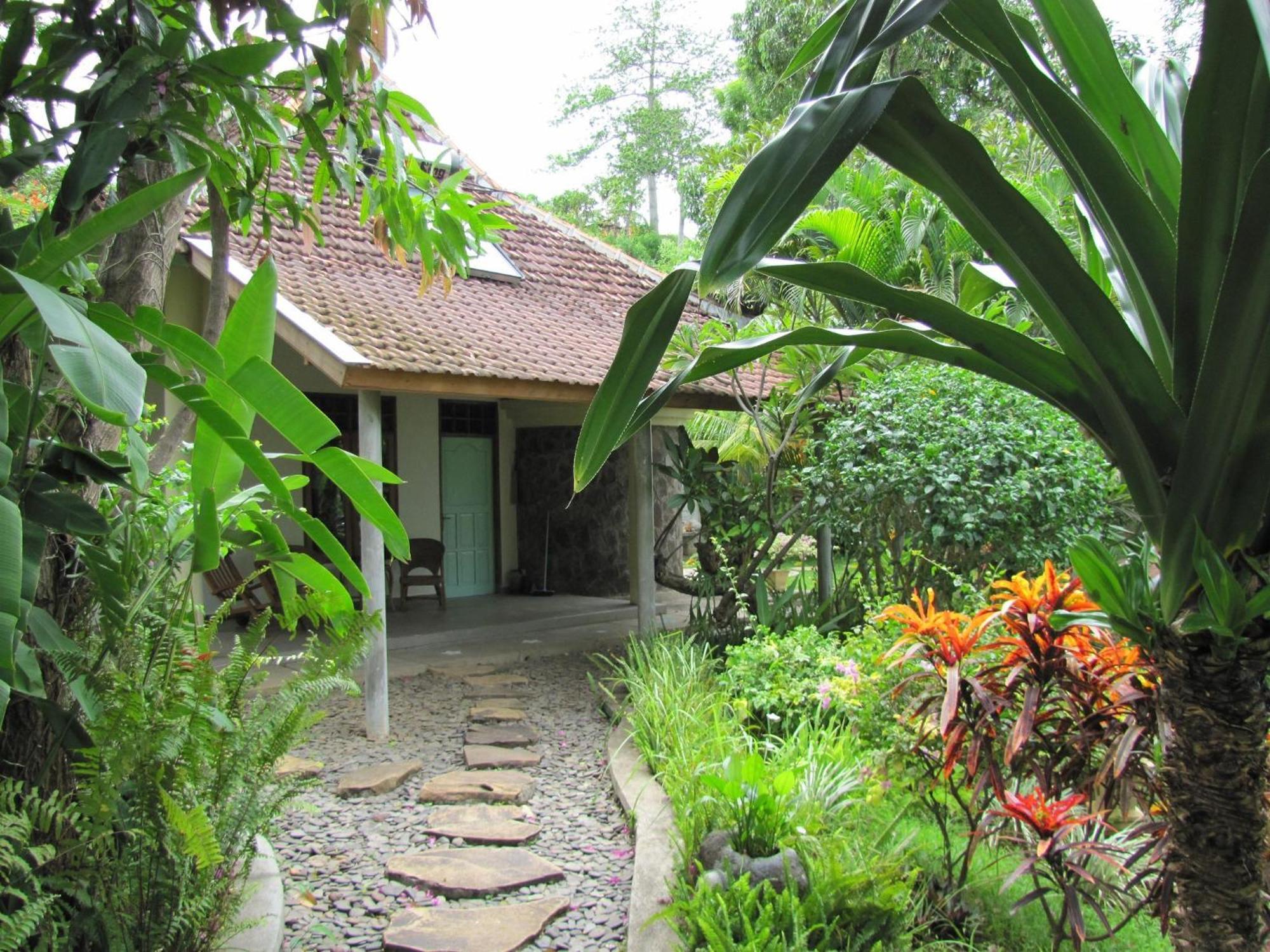 Sananda Bungalow Lovina Zewnętrze zdjęcie