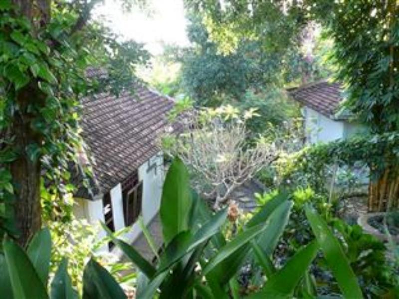Sananda Bungalow Lovina Zewnętrze zdjęcie